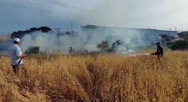 Gebze'de yulaf tarlası yandı!