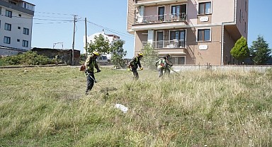 Çayırova’da yabani ot temizliği sürüyor