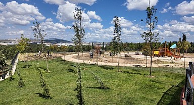 Duyu Bahçesi'nde çim serimi başladı