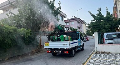 Gebze Belediyesi, vektörlere karşı ilaçlama yapıyor