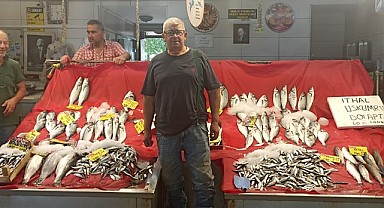 En çok tercih edilen balık sardalya oldu