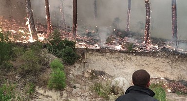 Kocaeli İtfaiyesi Bolu’daki yangına desteğe gitti