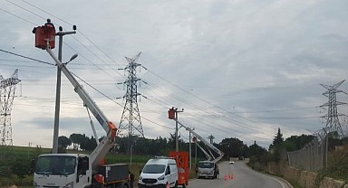 SEDAŞ, leylekler için önlem aldı