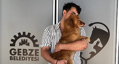 Sokaktan sıcak yuvaya kavuştular