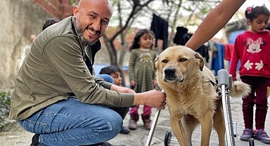 Çelik, “Tüm bu güzellikler sizin sayenizde oldu”