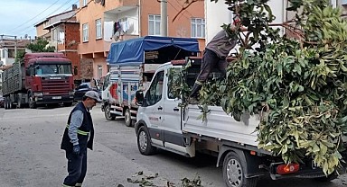 Körfez’de yeşil alanlar temizleniyor