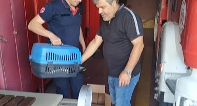Yaralı leyleğin imdadına itfaiye yetişti