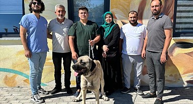 10 ayda 170 sokak hayvanı sahiplendirildi