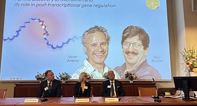 2024 Nobel Tıp Ödülü'nün sahibi belli oldu
