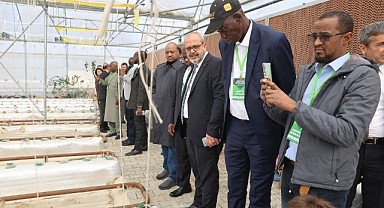 Afrikalı heyet topraksız tarım serasını gezdi