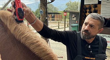 Atların yelelerine kuaför eli değdi