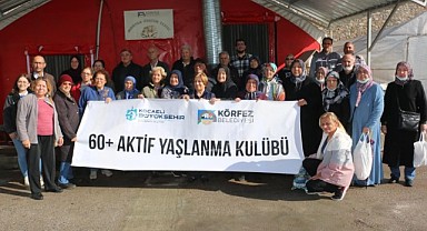 Körfezli çınarlar mantar topladı