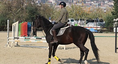 Emekli olan atlar, binicilik sporuna hizmet ediyor