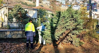 Dilovası'nda park ve bahçelerde kış bakımı yapılıyor