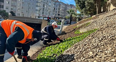 Gebze çiçekleniyor