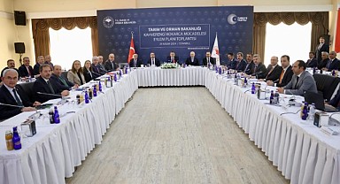 Kokarca böceği ile mücadele masaya yatırıldı