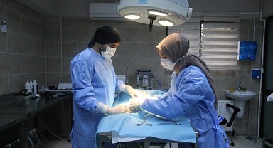 Portakal, Patilik Kasabası’nda sağlığına kavuştu