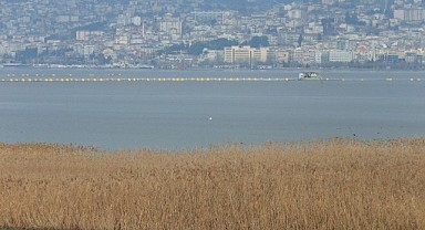 Flamingo gözlem şenliği renkli görüntülere sahne oldu