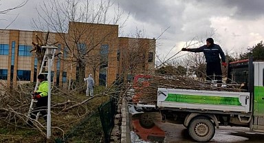 Hastane çevresi temiz görünüme kavuştu