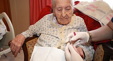 101 yaşındaki çınara bakım hizmeti verildi
