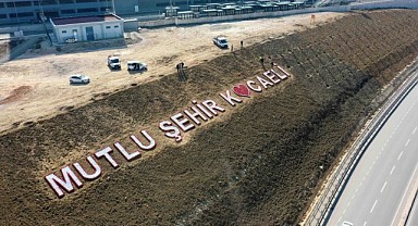 Bağlantı yoluna 200 adet Himalaya sediri dikildi