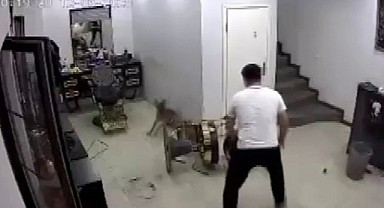 Kuaföre sokulan köpek müşteriye saldırdı!