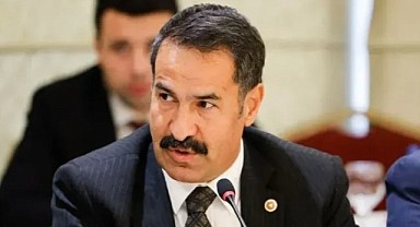 Yaman, yeniden başkan yardımcısı oldu