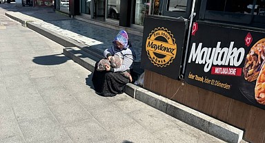 Zabıta ekipleri dilencilere göz açtırmıyor