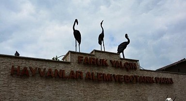 Faruk Yalçın’a a erken giden indirimi kapıyor!