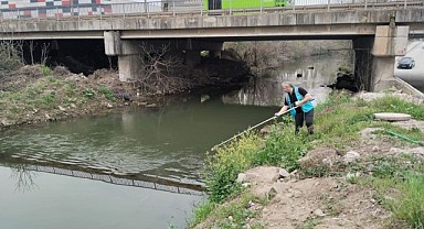 İzmit Körfezi’ne akan dereler titizlikle inceleniyor