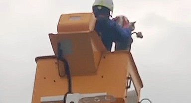 SEDAŞ ekipleri direkte mahsur kalan kediyi kurtardı