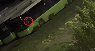 Belediye otobüsünü çalacaklardır! Yakalandılar