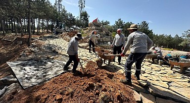 Damga Tepe Mesire alanında çalışmalar sürüyor