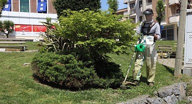 Darıca’da yeşil alanların bakımı yapılıyor