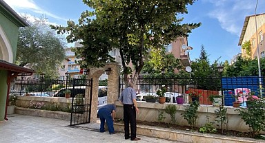 Ihlamur toplamak için çıktığı ağaçtan düştü!