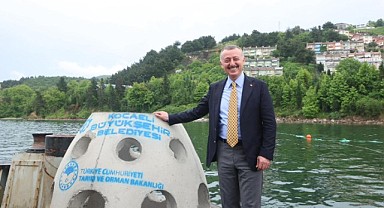 İzmit Körfezi küllerinden doğuyor