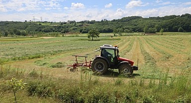 Kocaeli’nde “süt otu” hasadı başladı
