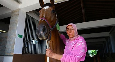 Milyonluk atları anne şefkatiyle bakıyor