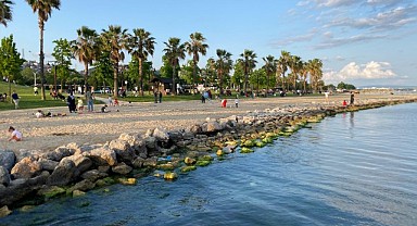 Sekapark’ta görülen dev yılan korkuttu!