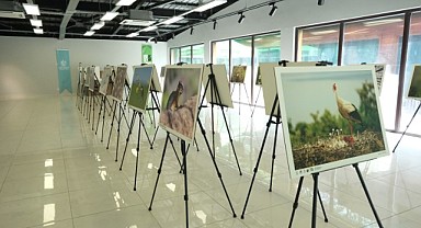 Türkiye’nin Doğası temalı sergi sanatseverlerle buluşuyor