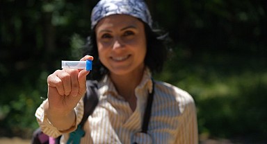 144 farklı tür Kuzuyayla’nın envanterine kazandırıldı