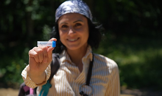 144 farklı tür Kuzuyayla’nın envanterine kazandırıldı
