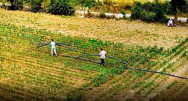 Bu proje, atıl tarım arazilerine can suyu oldu