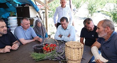 Büyükakın, hibe desteği ile yetiştirilen çilekleri topladı