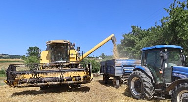 Büyükşehir tohum desteği ile tarıma can oldu