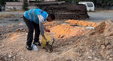 Çayırovalı AK Gençler sokak hayvanlarını unutmadı