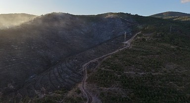 Derince’de çıkan orman yangını korkuttu!