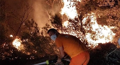 Gebze'de orman yangını: 7 dönüm alan kül oldu