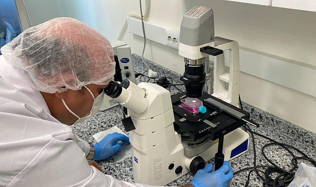 Beyin kanseri tedavisinde etkili nano molekül geliştirildi