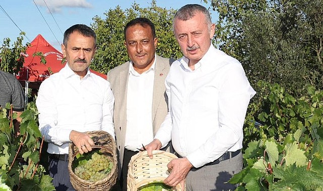 Büyükakın, üzüm hasadına katıldı